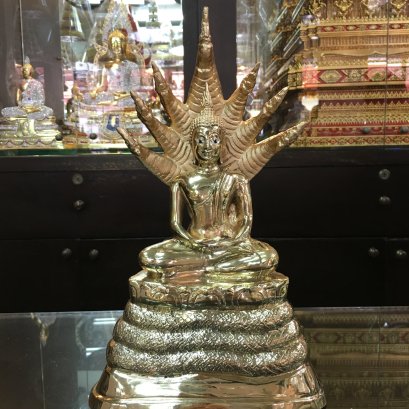 พระนาคปรก 5&quot;