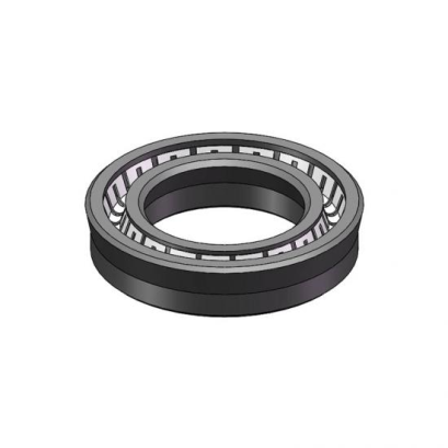 Spring Energized PTFE Lip Seal