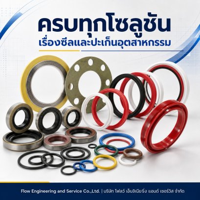 ซีลและปะเก็นอุตสาหกรรม O-Ring Oil Seal Hydraulic Seal Machined Seal Spiral Wound Gasket และ Kammprofile จาก Flow Engineering