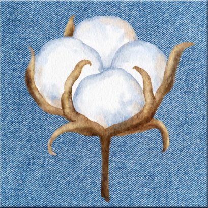 รู้จักเส้นใยแต่ละชนิดและการดูแลรักษาอย่างถูกวิธี