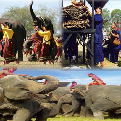 เทศกาลคล้องช้าง