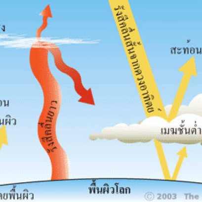 การพัฒนาอย่างยั่งยืน