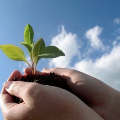 วิธีการช่วยลดภาวะโลกร้อนจาก smart@home