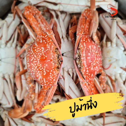 ปูม้านึ่ง