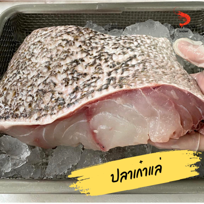 เก๋ายักษ์แล่