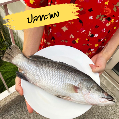 ปลากะพง