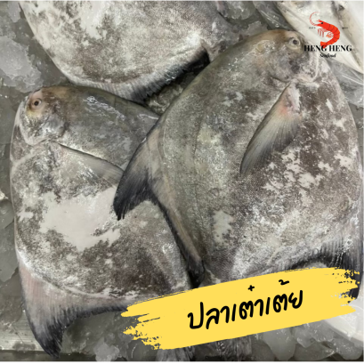 ปลาเต๋าเต้ย