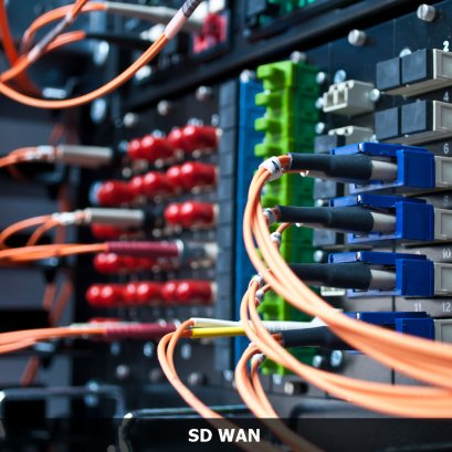 SD-WAN (Software-defined wide-area network) 