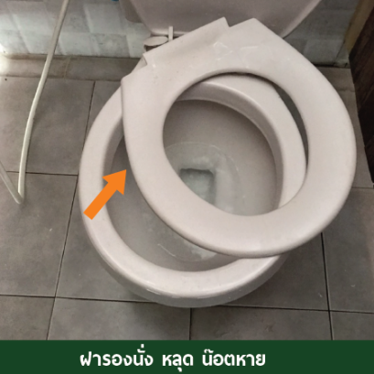 ฝารองนั่งหลุด , ฝารองนั่งเป็นจุดดำ , ฝารองนั่งเป็นเชื้อรา