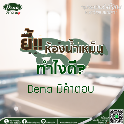 ปัญหากลิ่นไม่พึงประสงค์ในห้องน้ำ กลิ่นแรงจนเกินจะรับได้
