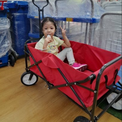 วิธีการเลือกซื้อรถเข็นของให้คุ้มค่ากับเงินที่จ่าย ไม่ปวดหัวทีหลัง