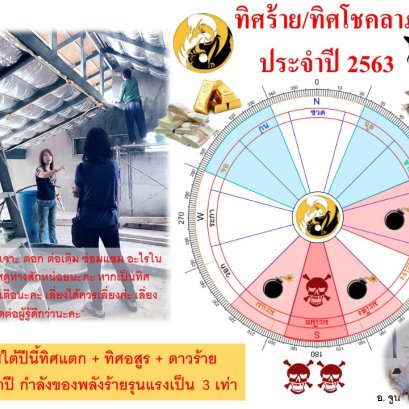 ทิศร้ายประจำปี 2563 (ปีชวด)