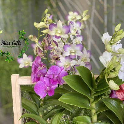 เหตุผลว่าทำไมลูกค้าถึงเลือกเราในการให้บริการส่งของขวัญสุดล้ำค่าให้คนที่คุณรัก