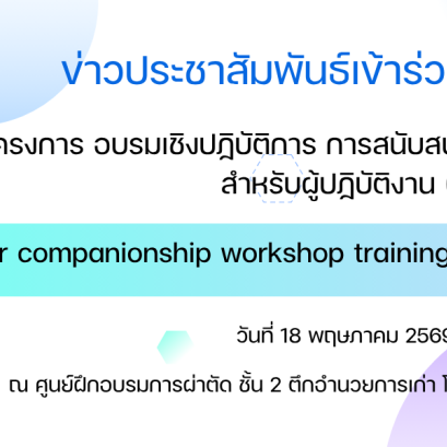 Labor companionship workshop training program: provider course