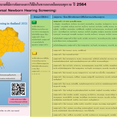 Mapping คัดกรองการได้ยินทารกแรกเกิด
