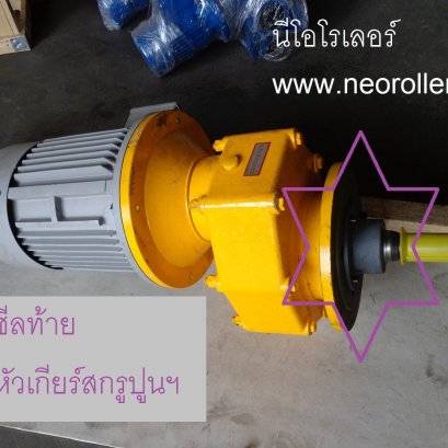 ซีลหัวเกียร์