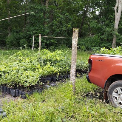 เราเริ่มต้นทำอะไรก่อนเมื่อได้เป็นผู้ใหญ่บ้านแล้ว