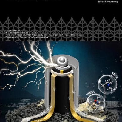  Congratulations to the VISTECCEST research team on our latest Cover Feature in ChemSusChem￼