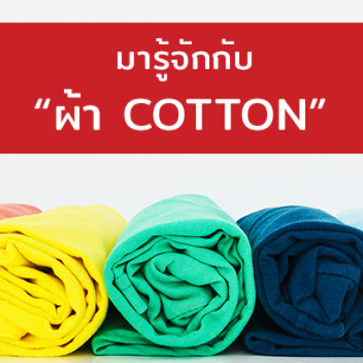มารู้จักผ้า Cotton กันดีกว่า