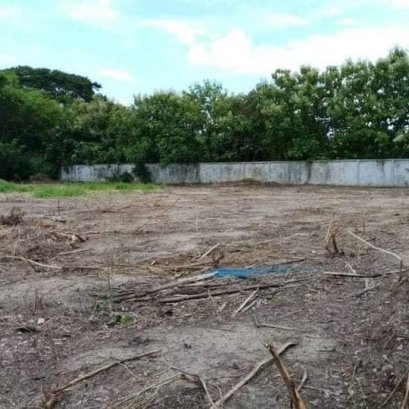 ขายที่ดิน 2 ไร่ 1 งาน 75 ตรว. อยู่ ต.ลำพยา อ.เมือง จ.นครปฐม 