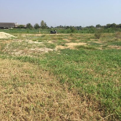 ขายที่ดินหนองปากโลง ถมแล้ว 1 ไร่ 3 งาน