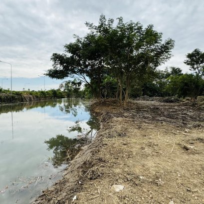 ขายที่ดิน2ไร่หนองปากโลง_วังตะกูหมู่8_04