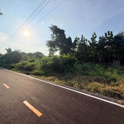 ขายที่ดิน200ตรว1