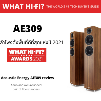 AE309 : Best floorstanding speakers 2021: budget to premium