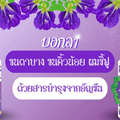 เมจิเซรั่มอัญชัน เซรั่มปัดขนตายาว มาสคาร่าผม มาสคาร่าเก็บไรผม เซรั่มบำรุงขนคิ้ว