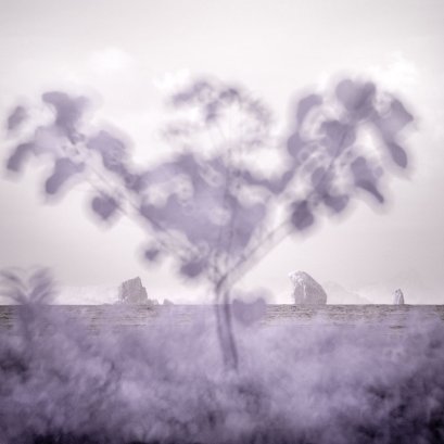 นึกถึงปฏิมากรรมนกอินทรี