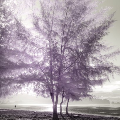 ก้าวข้ามปี 2563 