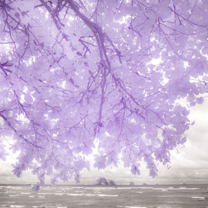 2563 เป็นปีที่ทุกคนคงจดจำไปอีกนาน 