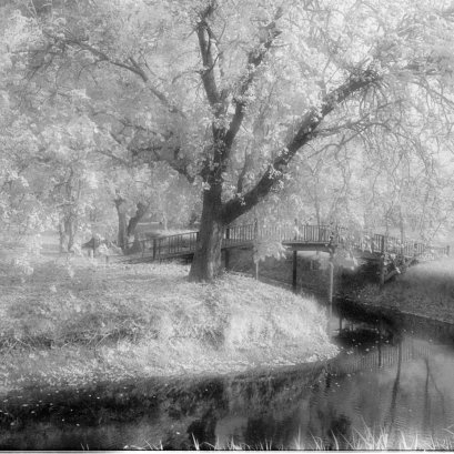 หากวันนั้นไม่ได้ไปอยุธยา หากวันนั้นไม่ได้ขับรถผ่าน หากวันนั้นไม่รู้สึกประทับใจต้นไม้นั้น หากวันนั้นไม่ได้.... .... ....  ไม่ว่าผลลัพธ์จากอดีตจะดีหรือเลวร้ายอย่างไร  ยามคิดย้อน  เราเลือกกลอกลับเฉพาะตอนดีๆที่ประทับใจได้ด้วยภาพของเราเสมอ...