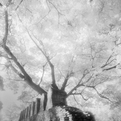 จินตนาการที่ล้นเหลือ 