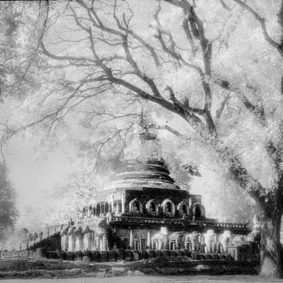 เมื่อเราถูกโควิคล้อม 