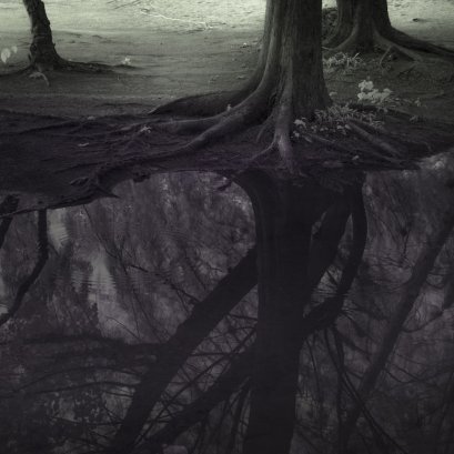 แม้เป็นเพียงประโยคบอกเล่าสั้นๆ แต่แฝงแง่คิดและรายละเอียดที่ลึกซึ้ง 