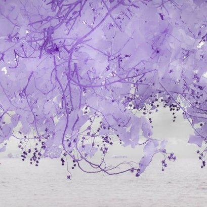 นิทรรศการภาพมณีอันดามัน