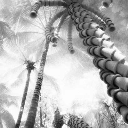 คราวนี้ลองฝึกด้วยฟิลม์อินฟราเรด ไปสวนนงนุช