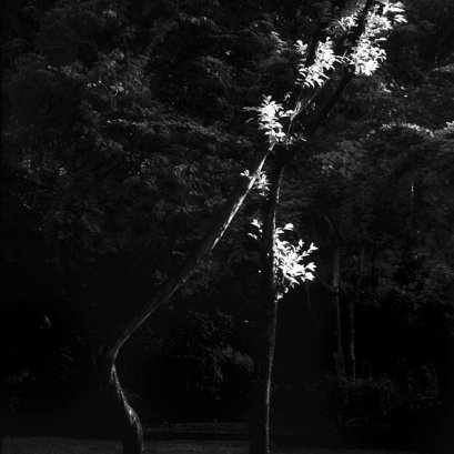 เราต่างหากที่รู้สึก ยามเราพร้อมและมีสมาธิพอ