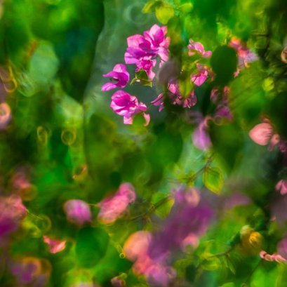 เทคนิคและแรงบันดาลใจ 