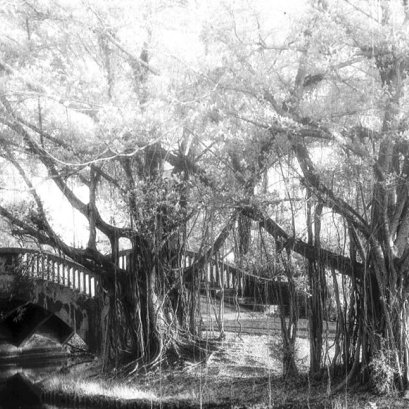 บันทึก ณ Somsak PhotosApril 28, 2017 · 