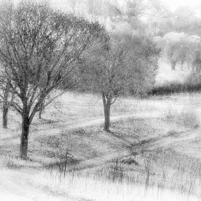 infrared film kodak HIE