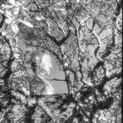 จากชุดผลงาน "รากไทย" 2551