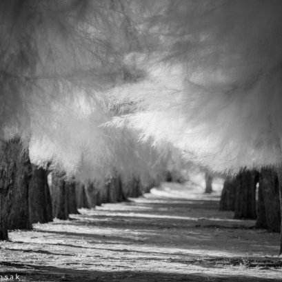 บันทึกทาง