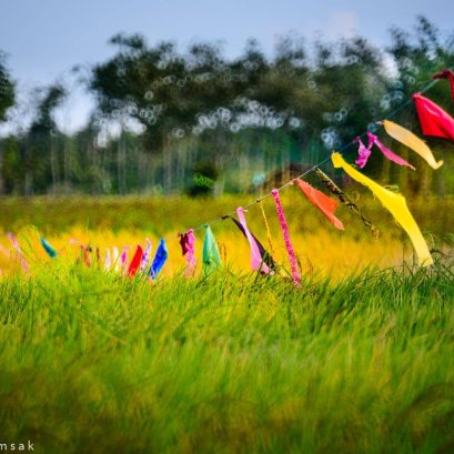 บึนทึกทาง