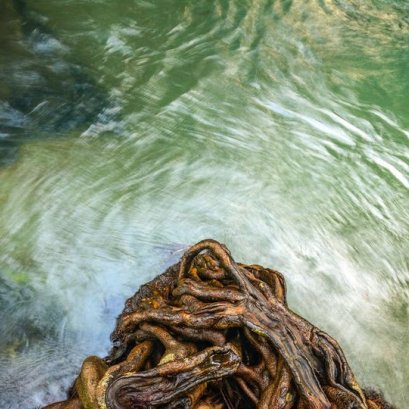 ณ งานนิทรรศการ รุกขะเทวะ 2561 : ขอโทษครับ พี่ช่วยบอกทีว่า ภาพนี้มันสวยยั