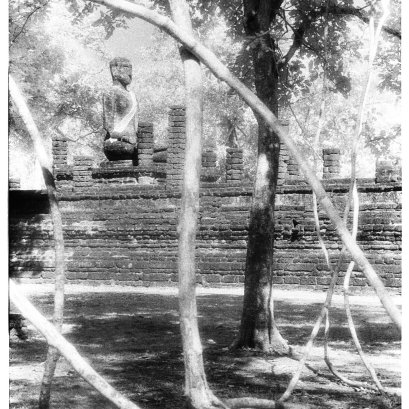 เส้นลายมืออาจถูกทักทายว่าเป็นเส้นกำหนด เส้นทางแห่งชีวิต  แต่เรากลับไม่ค่อยได้ยินว่า ทั้งหมดคือขวางหนามหรือเส้นอุปสรรคในการเดินทางไปถึงปลายนิ้ว ไม่ว่าจะเป็นเส้นทางหรือเส้นขวาง ทั้งหมดก็เป็นส่วนหนึ่งแห่งชีวิต "เส้นชีวิต" ผลงานชุด สุโข+ไท