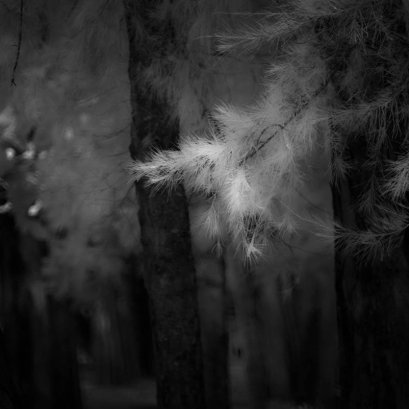 สายเที่ยว