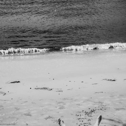 ผมกำลังนอนฝันว่าได้ไปจับปลาในทะเล 