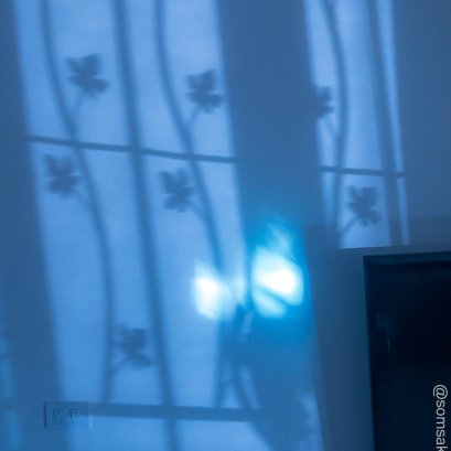 บัวข้างทีวี  